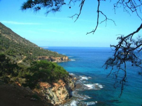 The Complete Guide to Renting Your Exclusive Holiday Villa in Sotira with Private Pool and Close to the Beach, Sotira Villa 1302